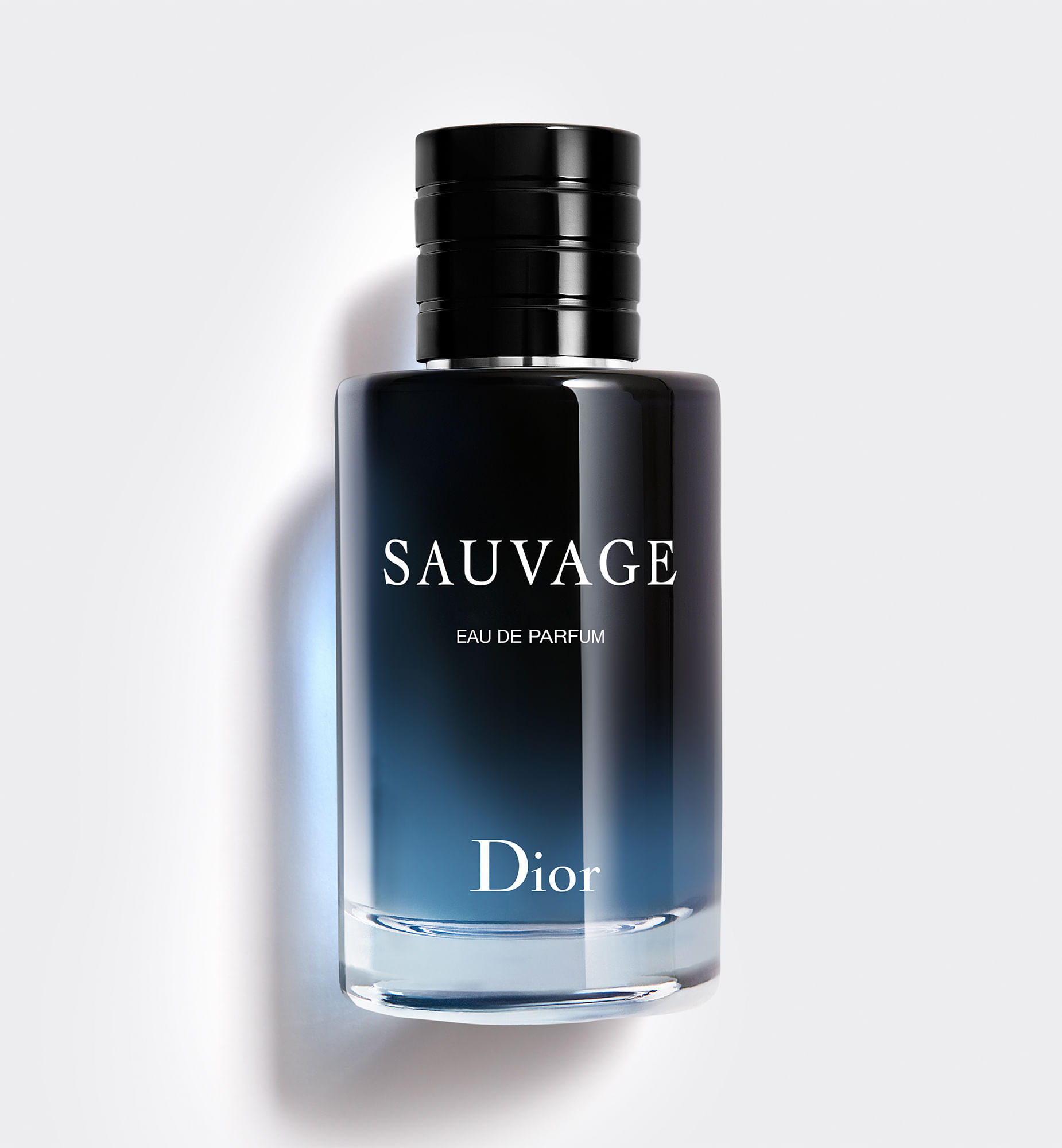 P. DIOR SAUVAGE H EDP 100ML P