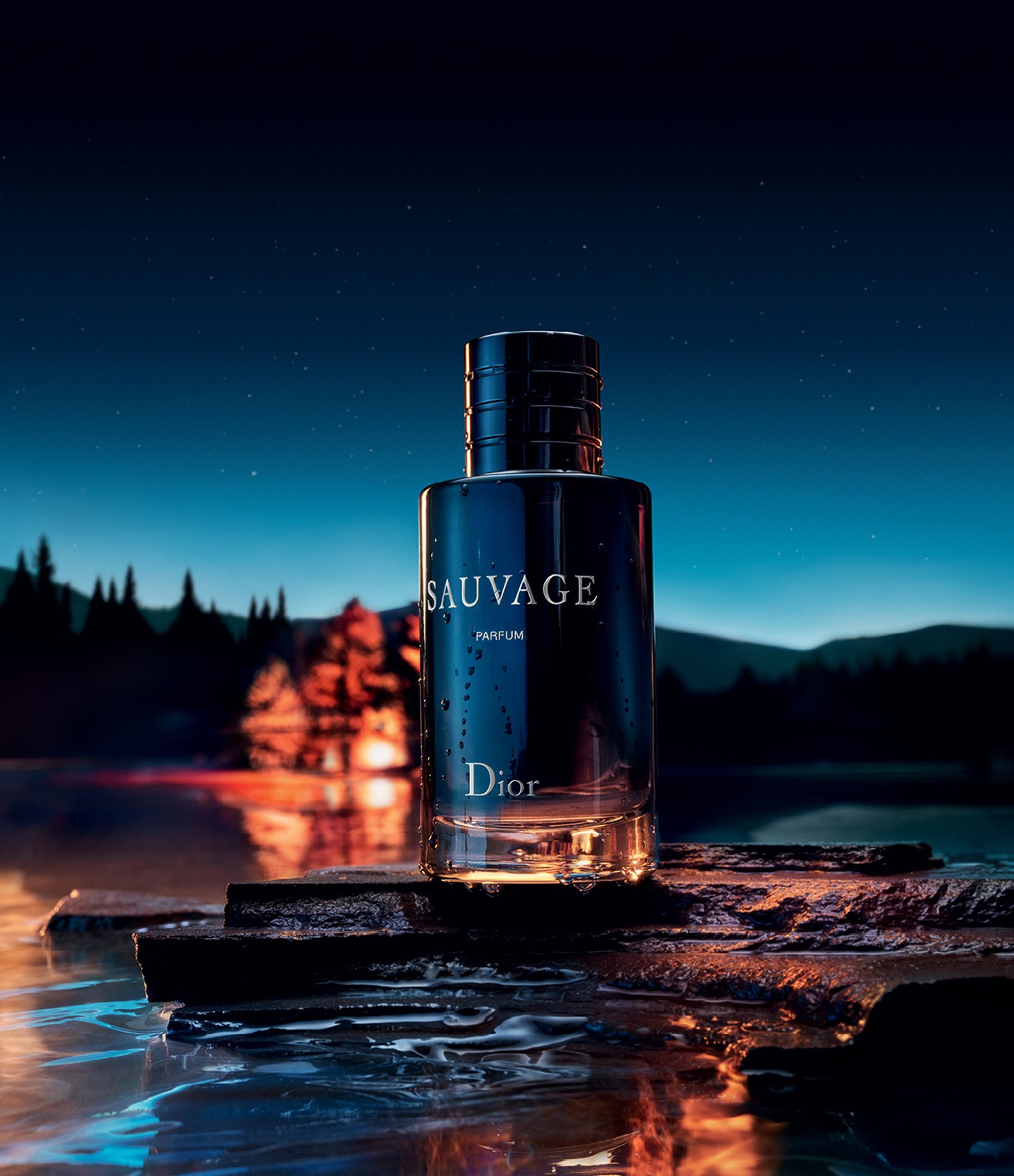 P. DIOR SAUVAGE H PARFUM 60ML